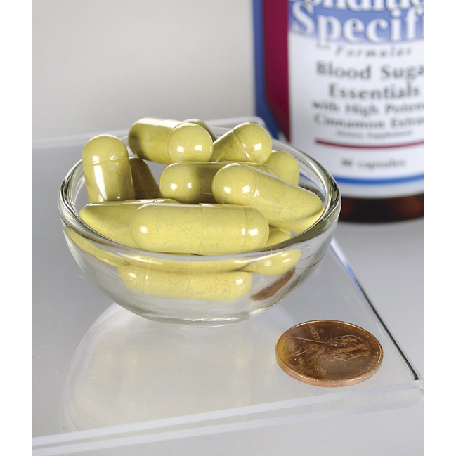 Swanson Condition Specific Formulas Blood Sugar Essentials with Cinnamon Extract / 90 Caps Swanson Condition Specific Formulas Blood Sugar Essentials with Cinnamon Extract / 90 Caps