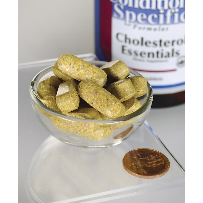 Swanson Condition Specific Formulas Cholesterol Essentials / 120 Tabs Swanson Condition Specific Formulas Cholesterol Essentials / 120 Tabs